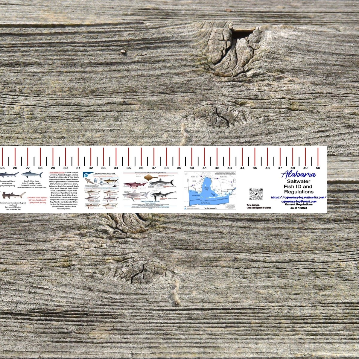 ALABAMA SALT WATER RULER 50 INCH FISH ID AND STATE REGULATIONS FISH RULER DECAL - Get Tight Gear