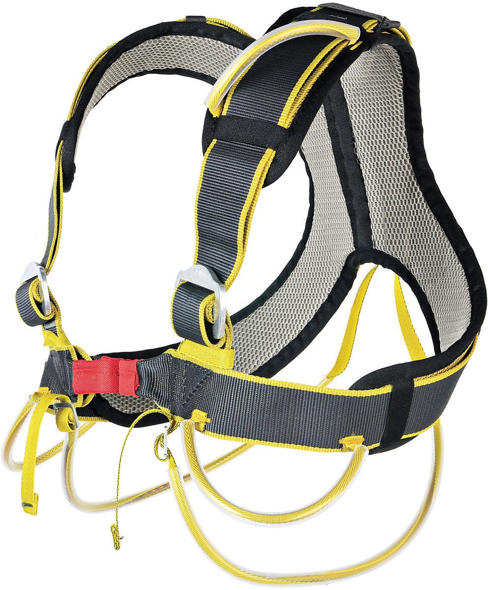 Aladin Padded Chest Harness - Get Tight Gear