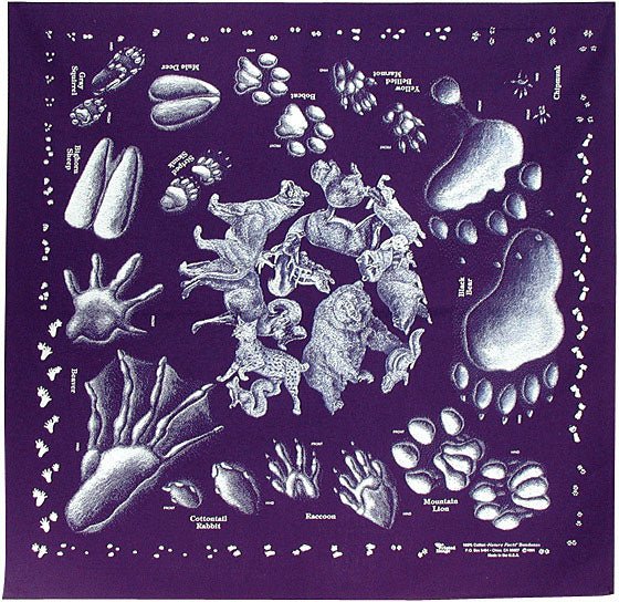 Animal Tracks - Get Tight Gear