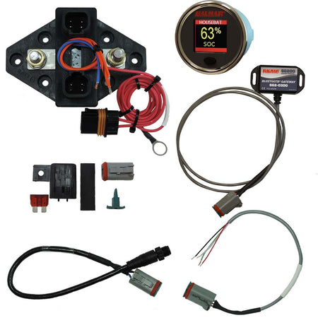 Balmar SG230 Battery Monitor Kit N2K BT Gateway Color Display 12 - 48VDC - Get Tight Gear