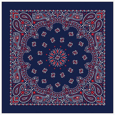 Bandana Paisley Blue/Red - Get Tight Gear