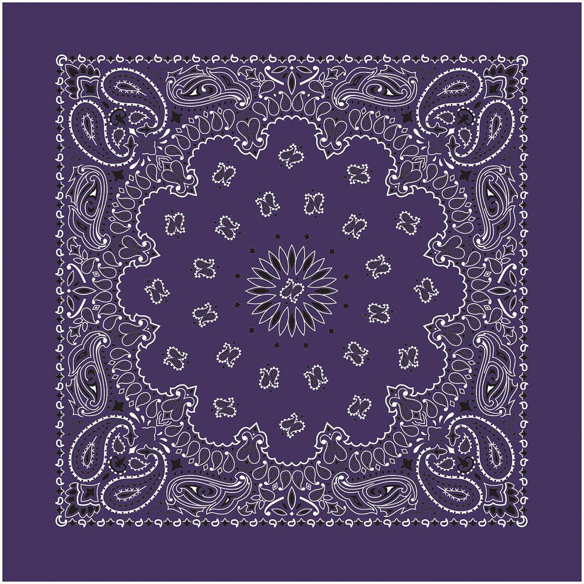 Bandana Paisley Plum - Get Tight Gear