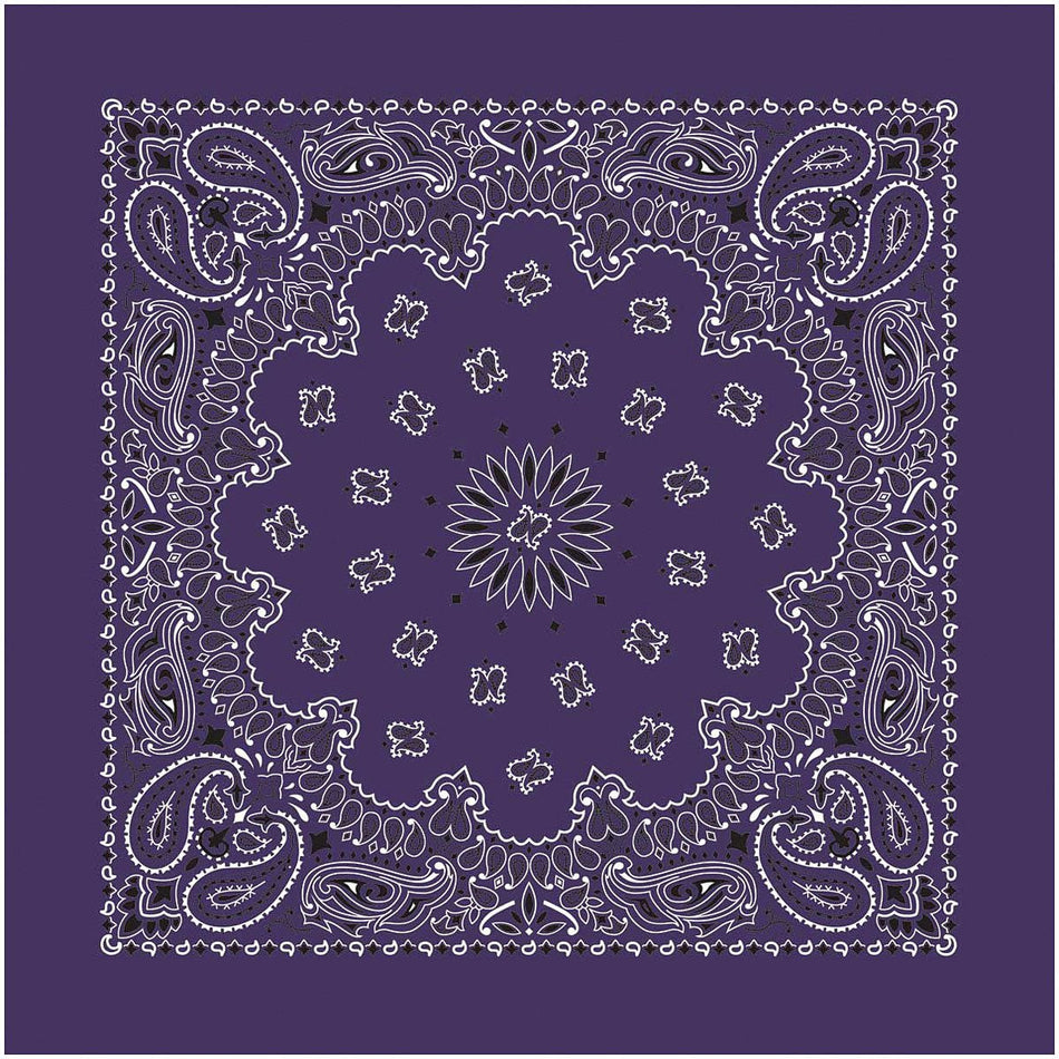 Bandana Paisley Plum - Get Tight Gear