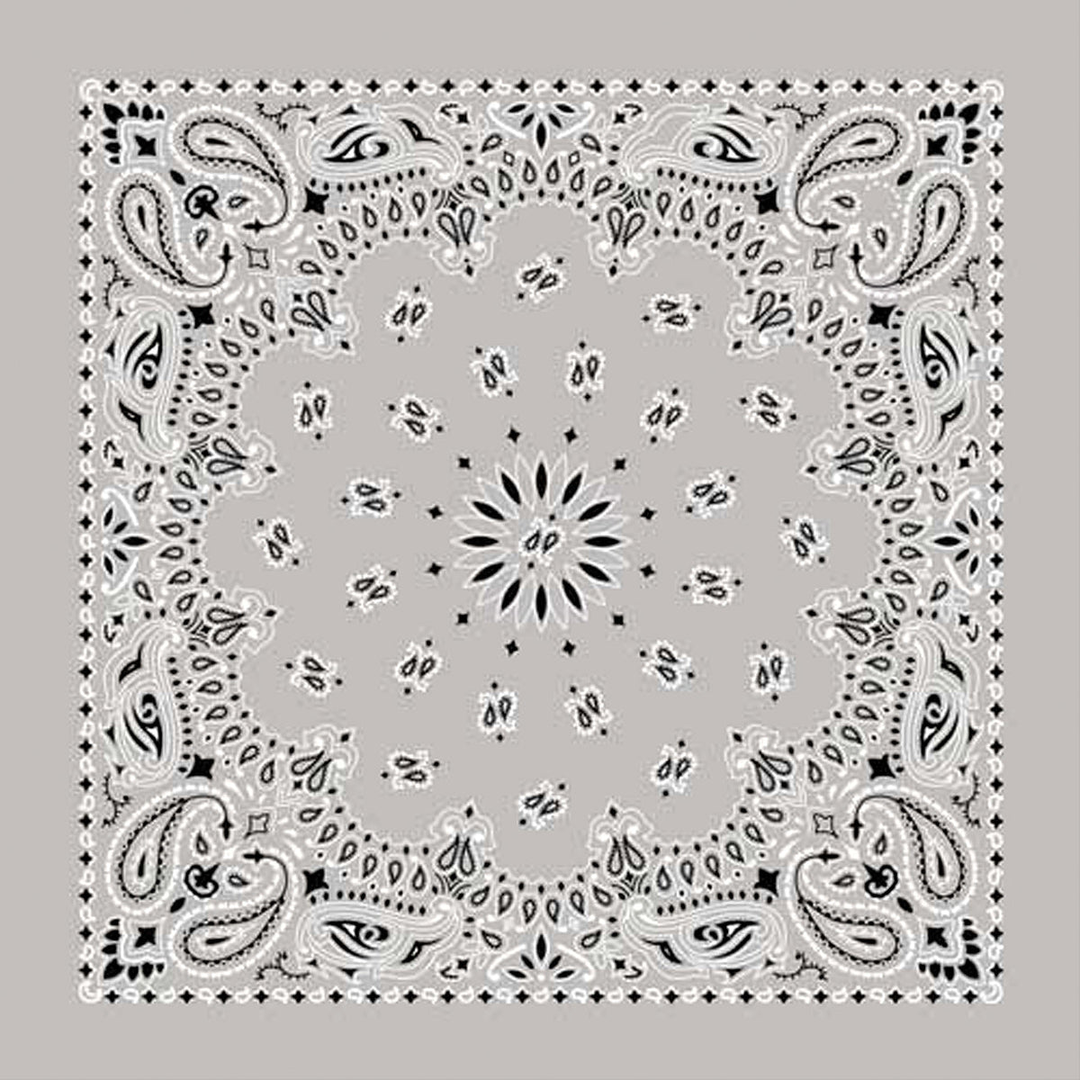 Bandana Paisley Silver - Get Tight Gear