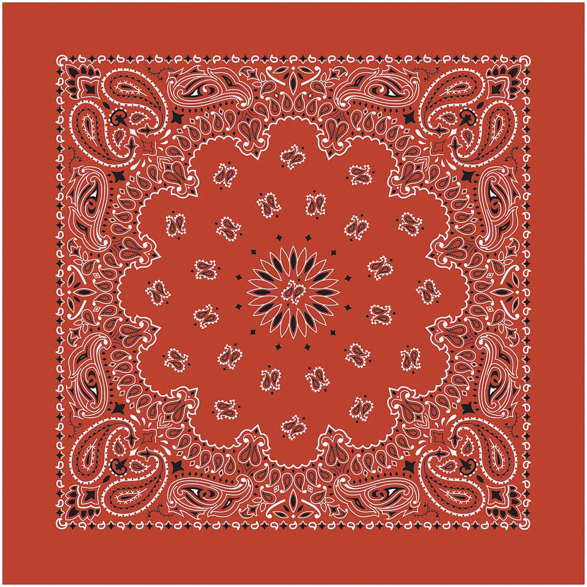 Bandana Paisley Terracotta - Get Tight Gear