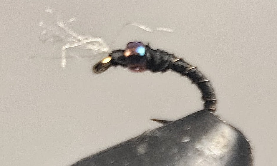 Barbed Wire™ - Midge - Get Tight Gear