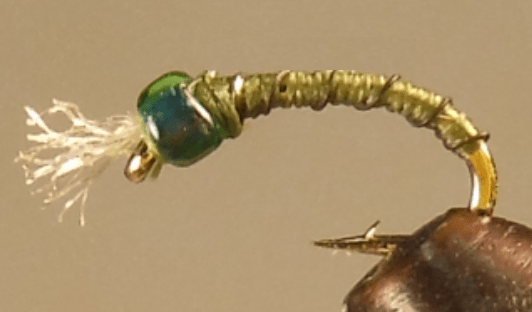 Barbed Wire™ - Midge - Get Tight Gear