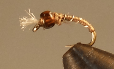 Barbed Wire™ - Midge - Get Tight Gear