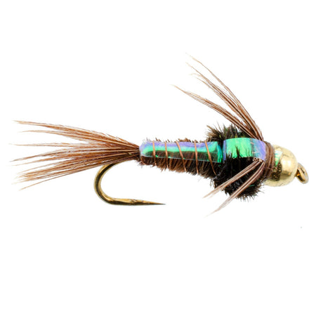Barbless Bead Head Flashback Pheasant Tail Nymph Fly 1 Dozen Flies Hook Size 12 - Get Tight Gear