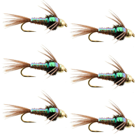 Barbless Bead Head Flashback Pheasant Tail Nymph Fly 6 Flies Hook Size 12 - Get Tight Gear