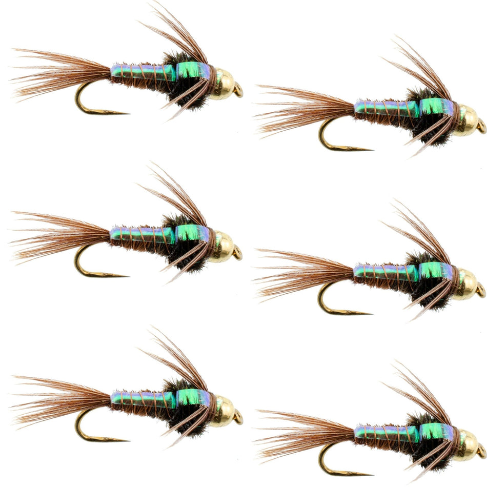 Barbless Bead Head Flashback Pheasant Tail Nymph Fly 6 Flies Hook Size 12 - Get Tight Gear