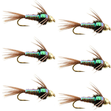 Barbless Bead Head Flashback Pheasant Tail Nymph Fly 6 Flies Hook Size 14 - Get Tight Gear