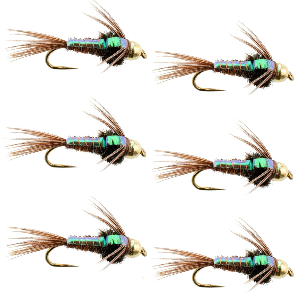 Barbless Bead Head Flashback Pheasant Tail Nymph Fly 6 Flies Hook Size 14 - Get Tight Gear