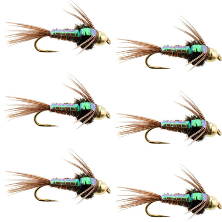Barbless Bead Head Flashback Pheasant Tail Nymph Fly 6 Flies Hook Size 16 - Get Tight Gear