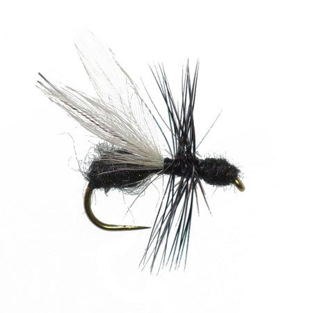 Barbless Black Fur Flying Ant Terrestrial Trout Dry Fly Fishing Flies - 6 Flies Hook Size 14 - Get Tight Gear