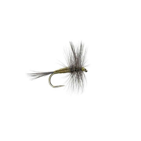 Barbless Blue Winged Olive BWO Classic Trout Dry Fly Fishing Flies - Set of 6 Flies Size 14 - Get Tight Gear