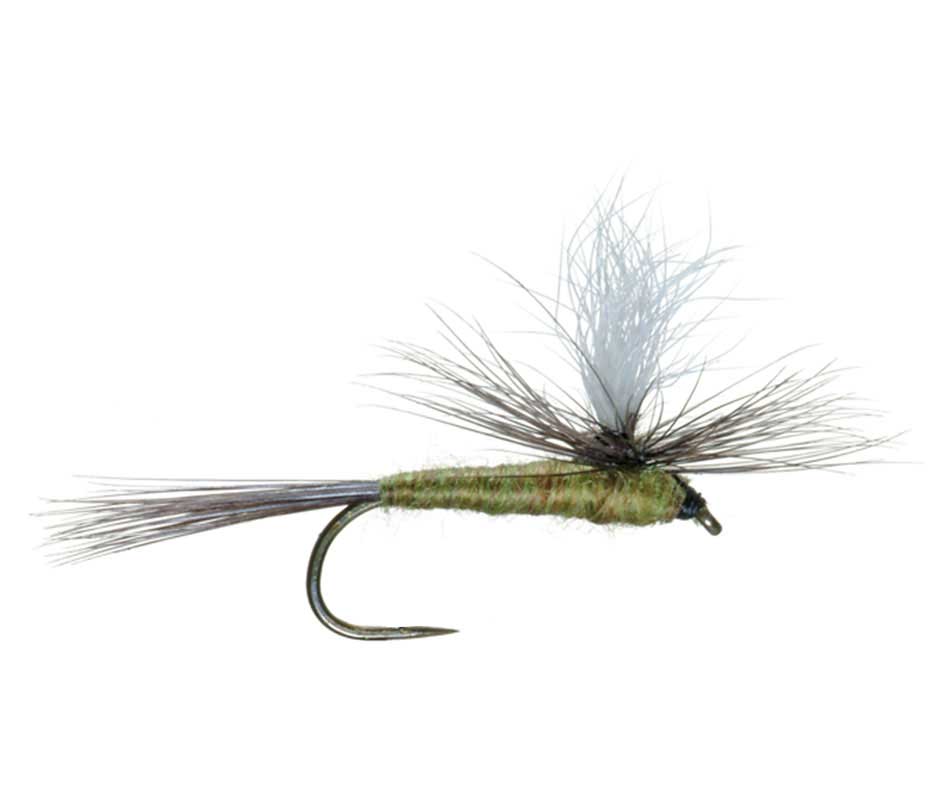 Barbless Parachute Blue Winged Olive BWO Classic Trout Dry Fly Fishing Flies - Set of 6 Flies Size 20 - Get Tight Gear