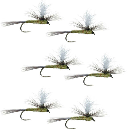 Barbless Parachute Blue Winged Olive BWO Classic Trout Dry Fly Fishing Flies - Set of 6 Flies Size 20 - Get Tight Gear
