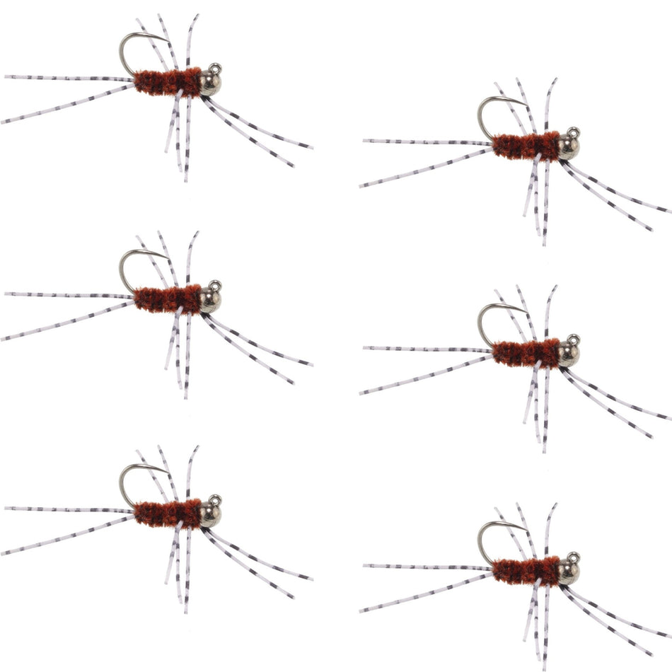 Barbless Pat's Barred Rubber Legs Tungsten Bead Jigged Brown Euro Nymph - Set of 6 Flies Hook Size 6 - Get Tight Gear