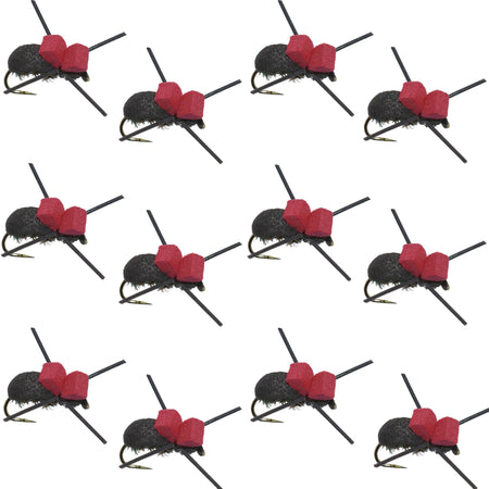 Barbless Red Top Black Foam Beetle Terrestrial Trout Dry Fly Fishing Flies - 1 Dozen Flies Size 14 - Get Tight Gear