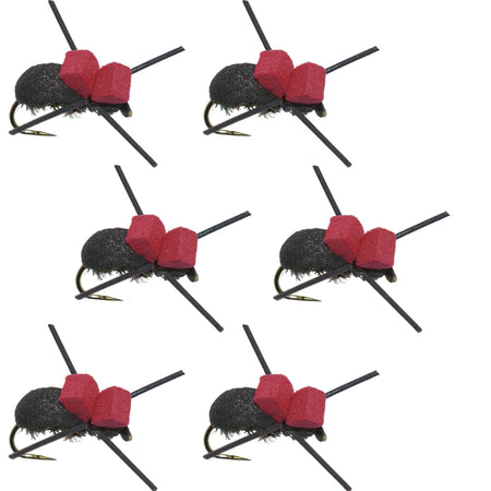 Barbless Red Top Black Foam Beetle Terrestrial Trout Dry Fly Fishing Flies - 6 Flies Size 14 - Get Tight Gear