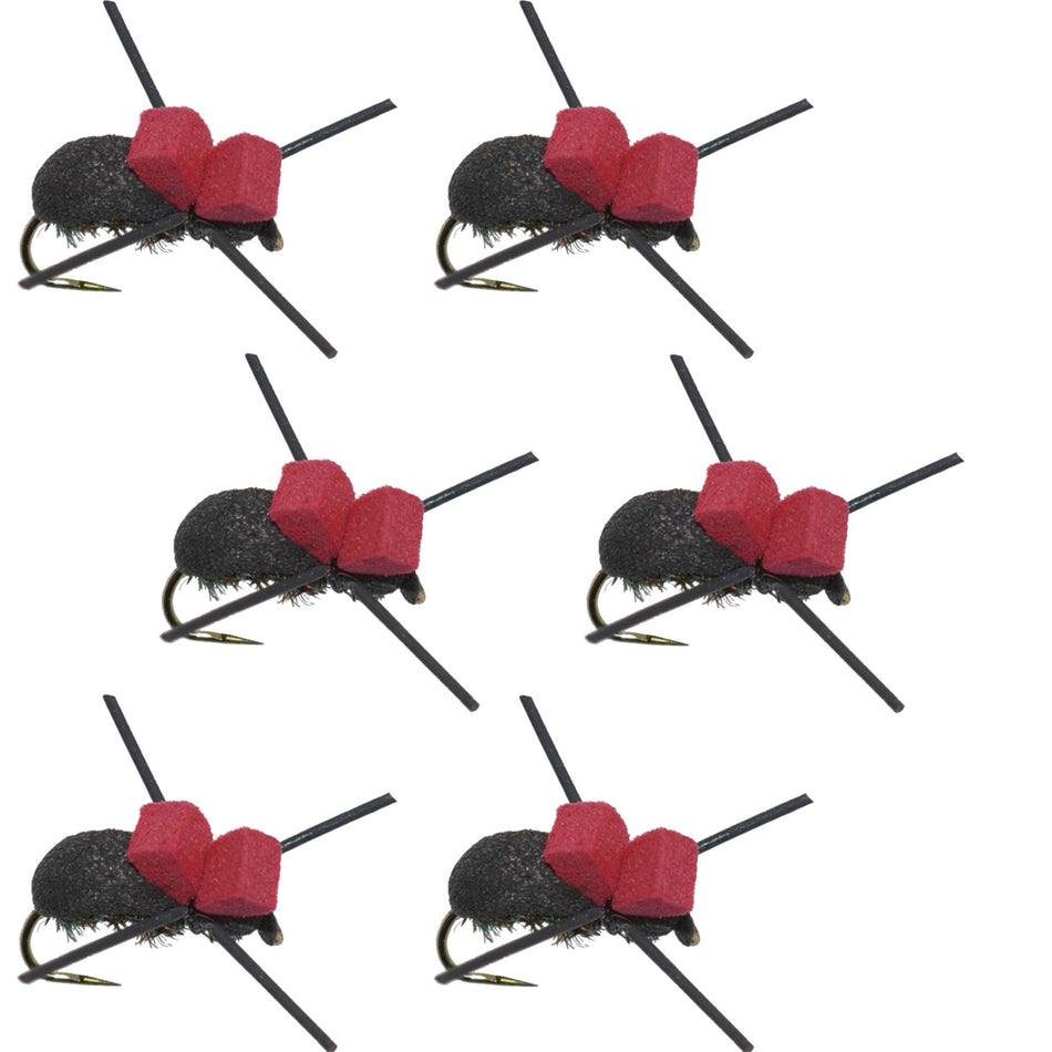 Barbless Red Top Black Foam Beetle Terrestrial Trout Dry Fly Fishing Flies - 6 Flies Size 14 - Get Tight Gear