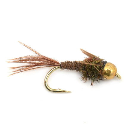 Basics Collection - Bead Head Nymph Assortment - 10 Wet Flies - 5 Patterns - Hook Sizes 12, 14, 16 - Get Tight Gear