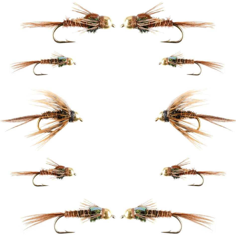 Basics Collection - Bead Head Pheasant Tail Nymph Assortment - 10 Wet Flies - Hook Sizes 14, 16, 18 - Get Tight Gear