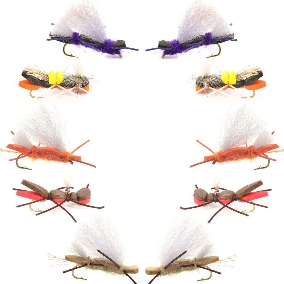 Basics Collection - Chernobyl Ant Foam Dry Fly Assortment - 10 Dry Fishing Grasshopper Flies - 5 Patterns - Hook Size 10 - Get Tight Gear