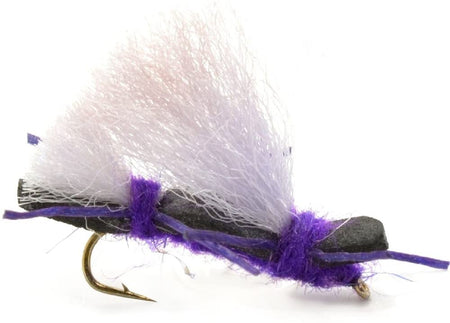 Basics Collection - Chernobyl Ant Foam Dry Fly Assortment - 10 Dry Fishing Grasshopper Flies - 5 Patterns - Hook Size 10 - Get Tight Gear