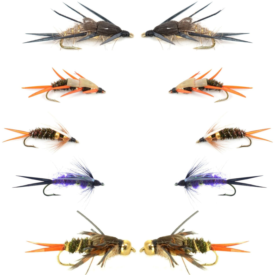 Basics Collection - Double Bead Head Nymph Assortment - 10 Wet Flies - 5 Patterns - Hook Size 10 - Get Tight Gear