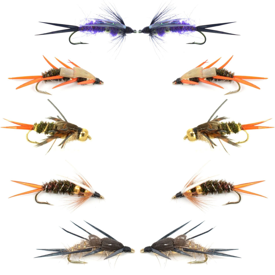Basics Collection - Double Bead Head Nymph Assortment - 10 Wet Flies - 5 Patterns - Hook Size 12 - Get Tight Gear
