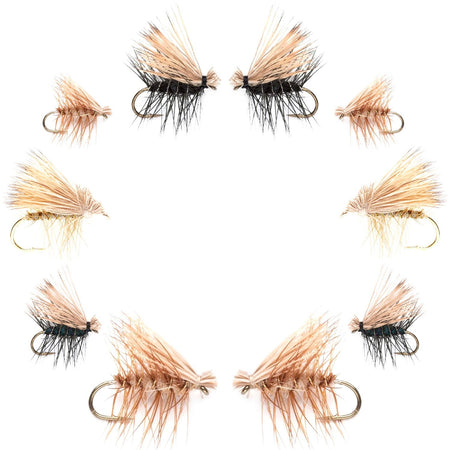 Basics Collection - Elk Hair Caddis Dry Fly Assortment - 10 Dry Fishing Flies - 5 Patterns - Hook Sizes 12, 14, 16, 18 - Get Tight Gear
