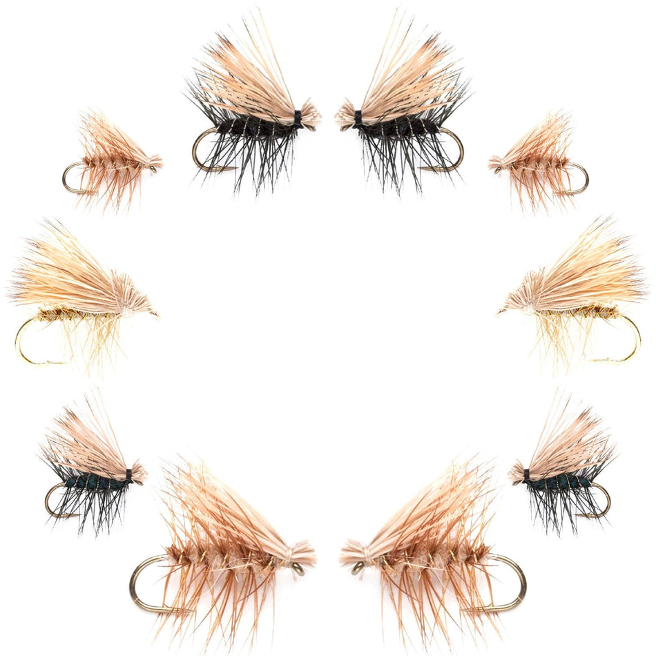 Basics Collection - Elk Hair Caddis Dry Fly Assortment - 10 Dry Fishing Flies - 5 Patterns - Hook Sizes 12, 14, 16, 18 - Get Tight Gear