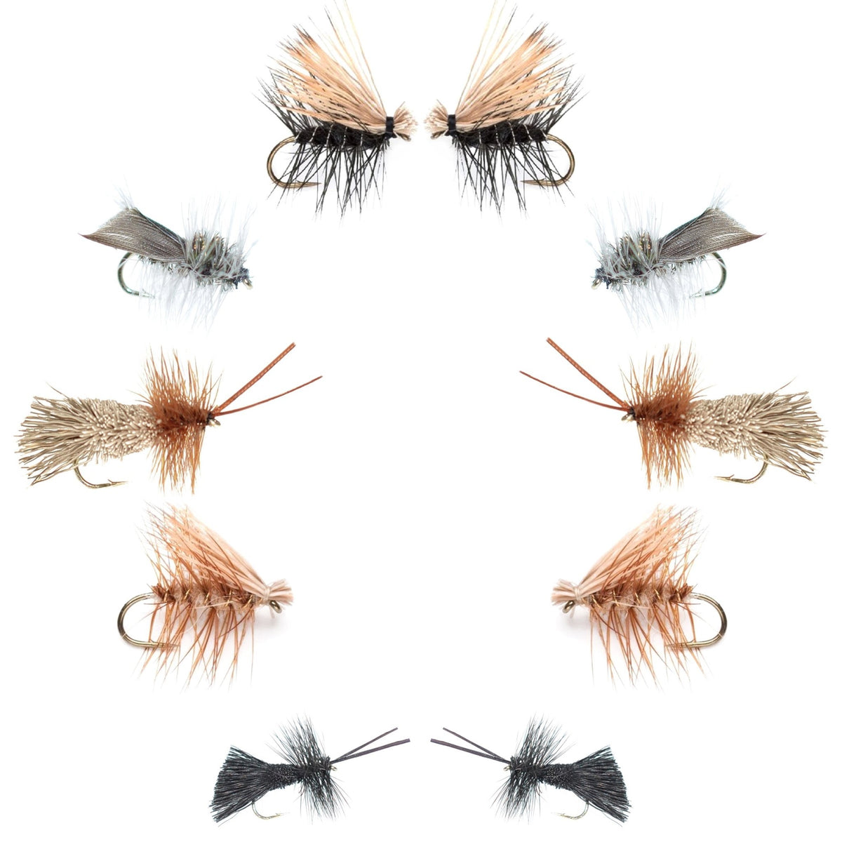 Basics Collection - Essential Caddis Dry Fly Assortment - 10 Dry Fishing Flies - 5 Patterns - Hook Sizes 12, 14, 16, 18 - Get Tight Gear