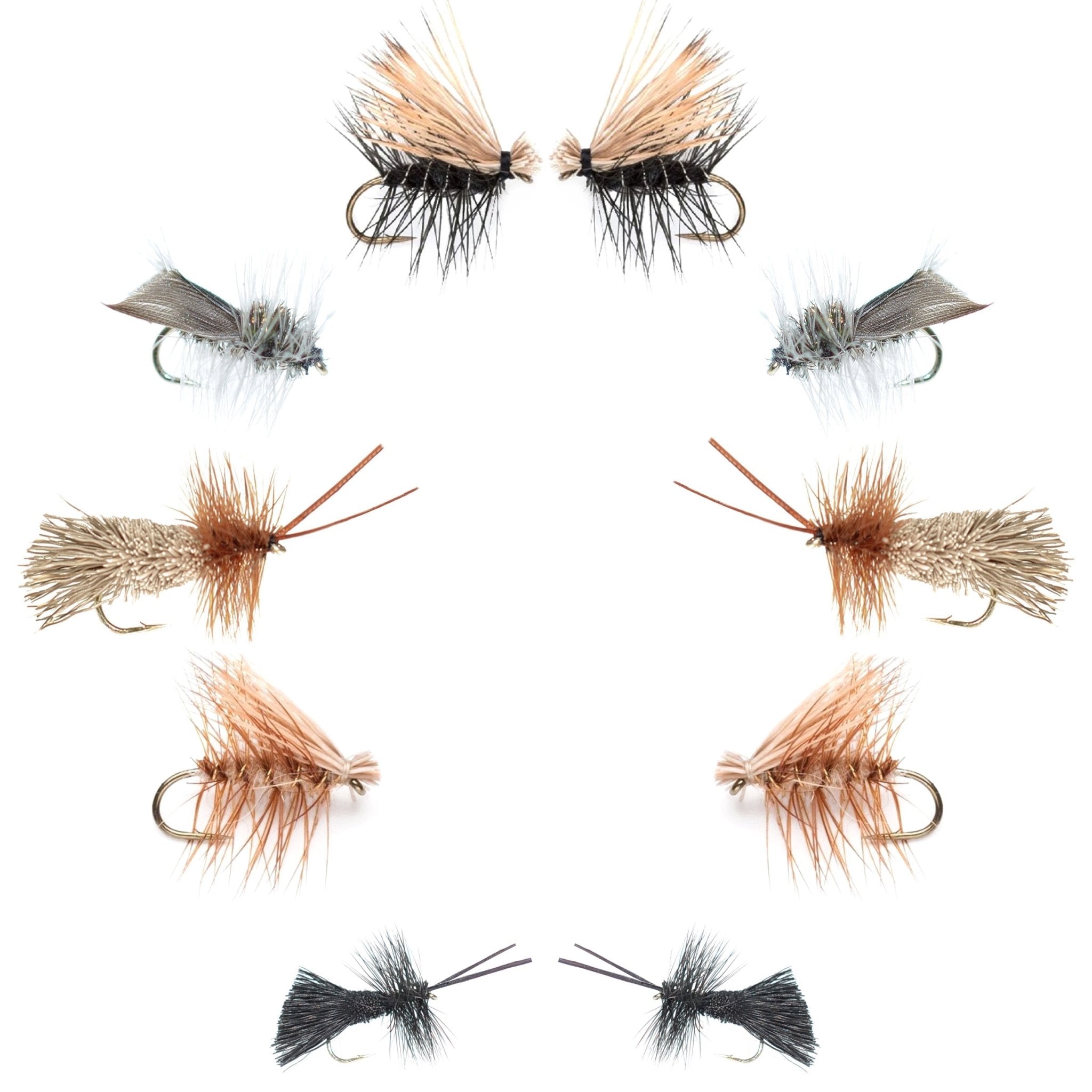 Basics Collection - Essential Caddis Dry Fly Assortment - 10 Dry Fishing Flies - 5 Patterns - Hook Sizes 12, 14, 16, 18 - Get Tight Gear
