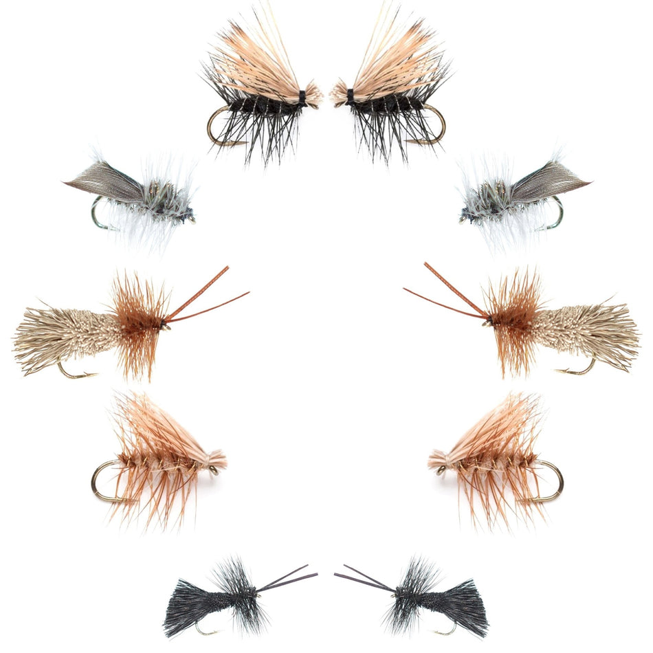 Basics Collection - Essential Caddis Dry Fly Assortment - 10 Dry Fishing Flies - 5 Patterns - Hook Sizes 12, 14, 16, 18 - Get Tight Gear