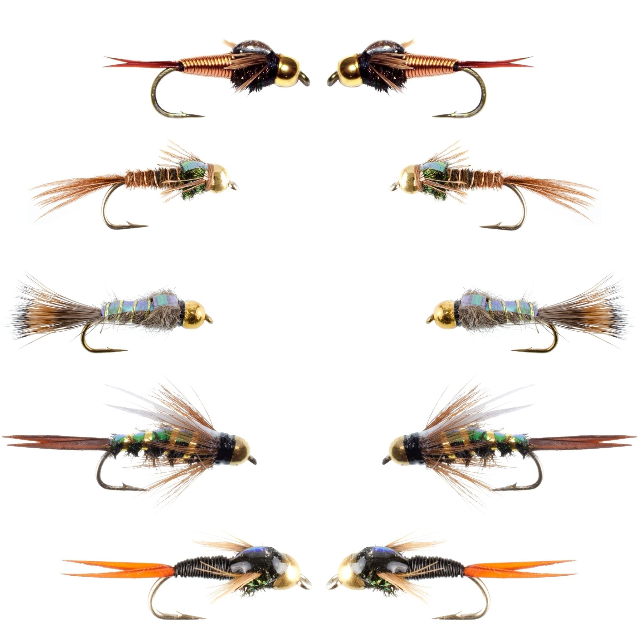 Basics Collection - Flash Back Tungsten Bead Head Nymph Assortment - 10 Wet Flies - 5 Patterns - Hook Sizes 10, 12, 14, 16 - Get Tight Gear