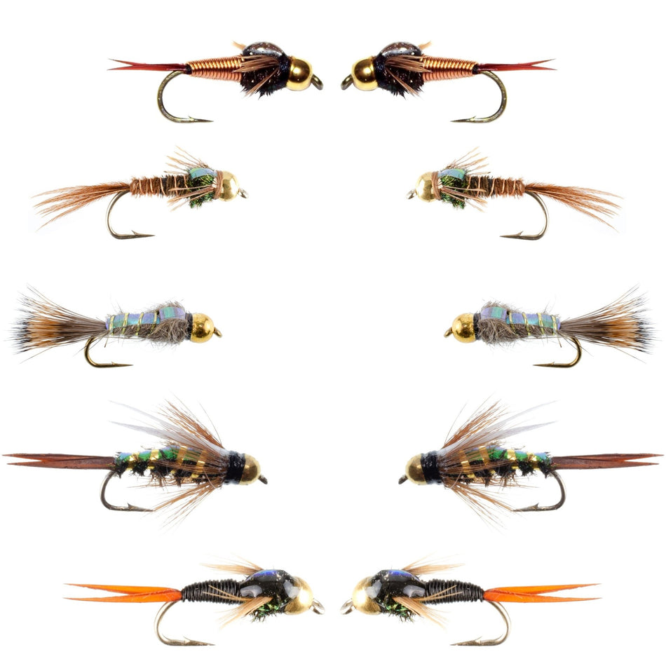 Basics Collection - Flash Back Tungsten Bead Head Nymph Assortment - 10 Wet Flies - 5 Patterns - Hook Sizes 10, 12, 14, 16 - Get Tight Gear