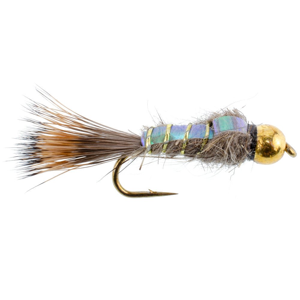 Basics Collection - Flash Back Tungsten Bead Head Nymph Assortment - 10 Wet Flies - 5 Patterns - Hook Sizes 10, 12, 14, 16 - Get Tight Gear