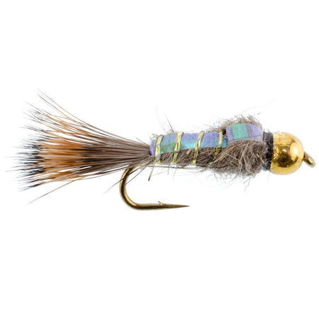 Basics Collection - Flash Back Tungsten Bead Head Nymph Assortment - 10 Wet Flies - 5 Patterns - Hook Sizes 10, 12, 14, 16 - Get Tight Gear