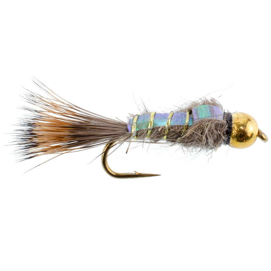 Basics Collection - Flash Back Tungsten Bead Head Nymph Assortment - 10 Wet Flies - 5 Patterns - Hook Sizes 10, 12, 14, 16 - Get Tight Gear
