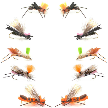 Basics Collection - Foam Hoppers Dry Fly Assortment 2 - 10 Dry Fishing Grasshopper Flies - 5 Patterns - Hook Size 10 - Get Tight Gear