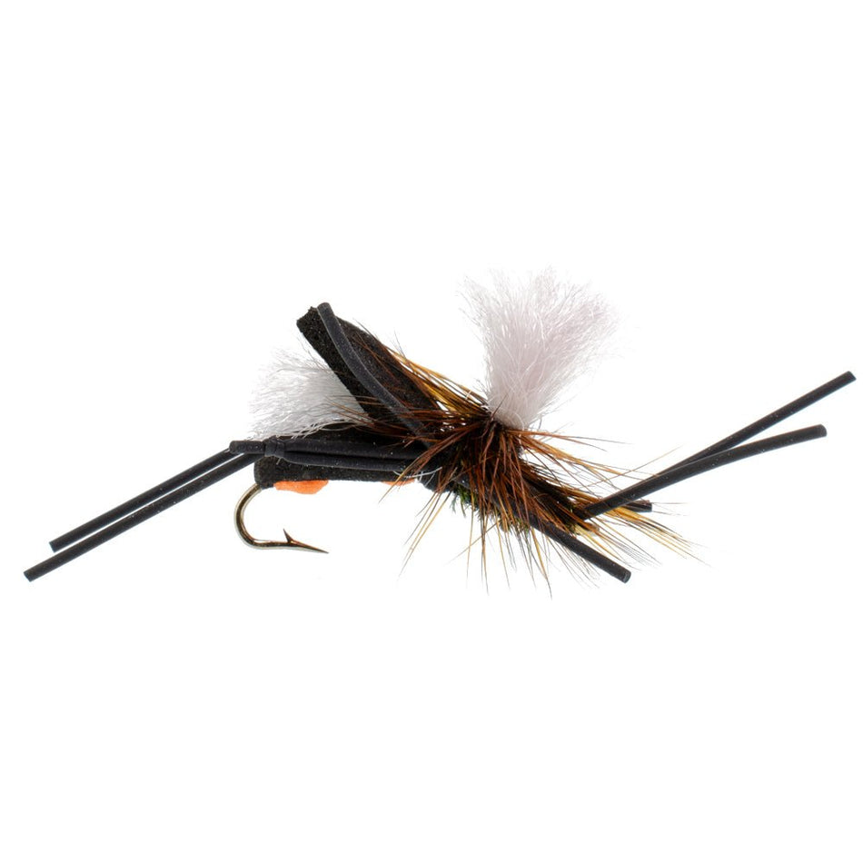 Basics Collection - Foam Hoppers Dry Fly Assortment 2 - 10 Dry Fishing Grasshopper Flies - 5 Patterns - Hook Size 10 - Get Tight Gear