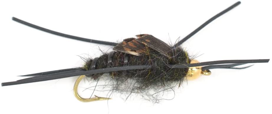 Basics Collection - Kaufmann's Black Stonefly Nymph Assortment - 10 Bead Head Rubber Legs Wet Flies - 2 Each Hook Sizes 4, 6, 8, 10, and 12 - Get Tight Gear
