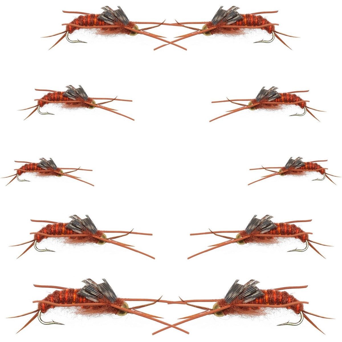 Basics Collection - Kaufmann's Brown Stonefly Nymph Assortment 10 Bead Head Rubber Legs Wet Flies - Hook Sizes 6, 8, 10, and 12 - Get Tight Gear