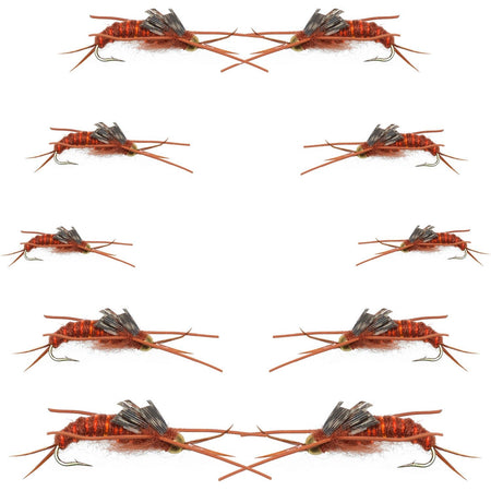 Basics Collection - Kaufmann's Brown Stonefly Nymph Assortment 10 Bead Head Rubber Legs Wet Flies - Hook Sizes 6, 8, 10, and 12 - Get Tight Gear