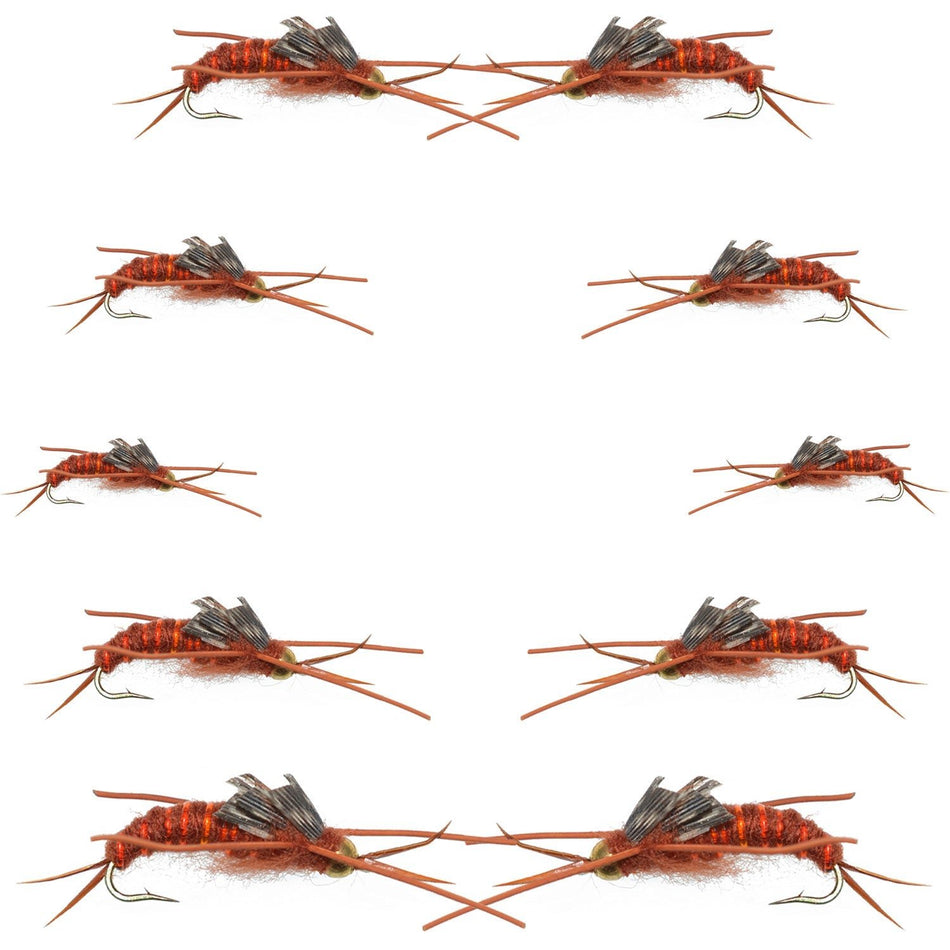 Basics Collection - Kaufmann's Brown Stonefly Nymph Assortment 10 Bead Head Rubber Legs Wet Flies - Hook Sizes 6, 8, 10, and 12 - Get Tight Gear
