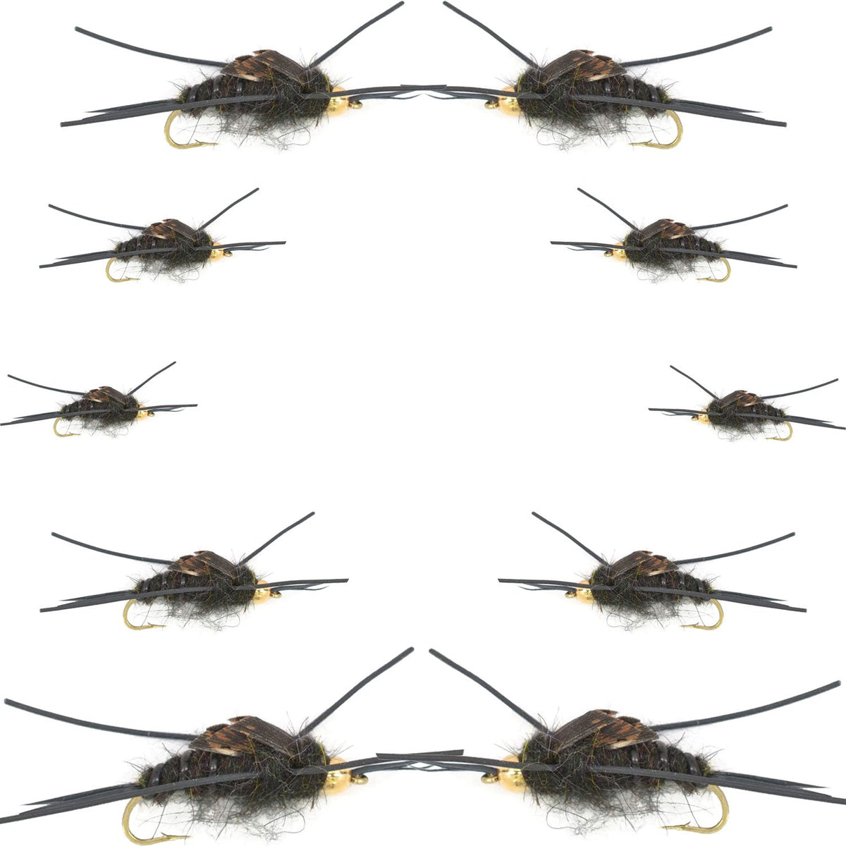 Basics Collection - Kaufmann's Tungsten Bead Black Stonefly Nymph Assortment 10 Bead Head Rubber Legs Wet Flies - 2 Each Hook Sizes 4, 6, 8, 10, and 12 - Get Tight Gear