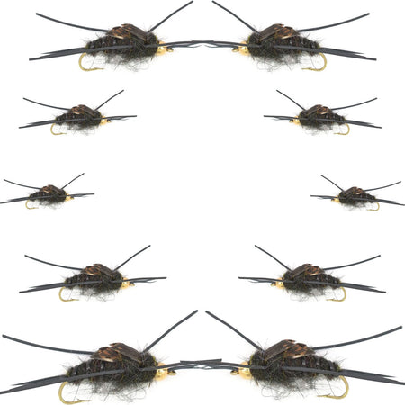 Basics Collection - Kaufmann's Tungsten Bead Black Stonefly Nymph Assortment 10 Bead Head Rubber Legs Wet Flies - 2 Each Hook Sizes 4, 6, 8, 10, and 12 - Get Tight Gear